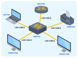 LAN