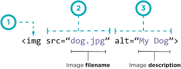 imgtag